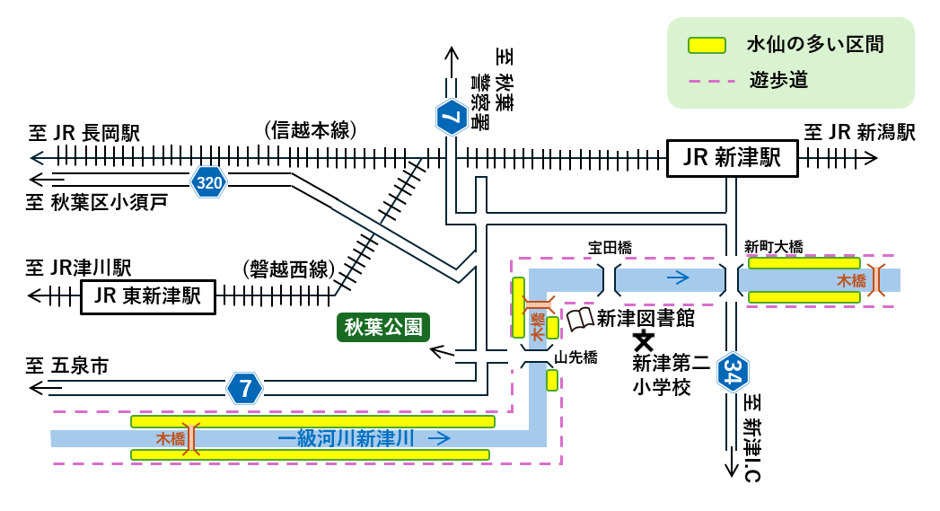 新津川の水仙が多い区間