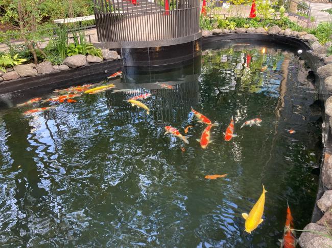 知事政策局　東京事務所