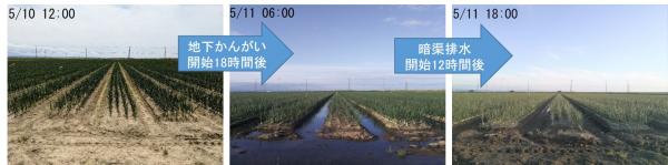 地下かんがい&暗渠排水