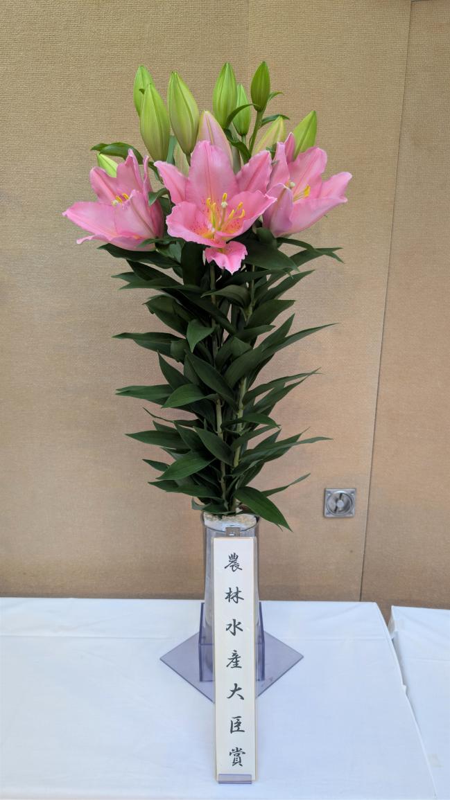 農林水産大臣賞