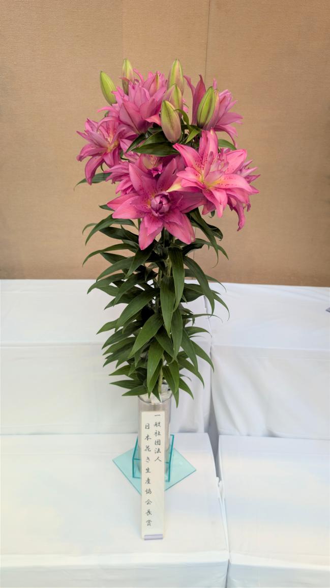 （⼀社）⽇本花き⽣産協会⻑賞