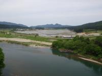 田植え
