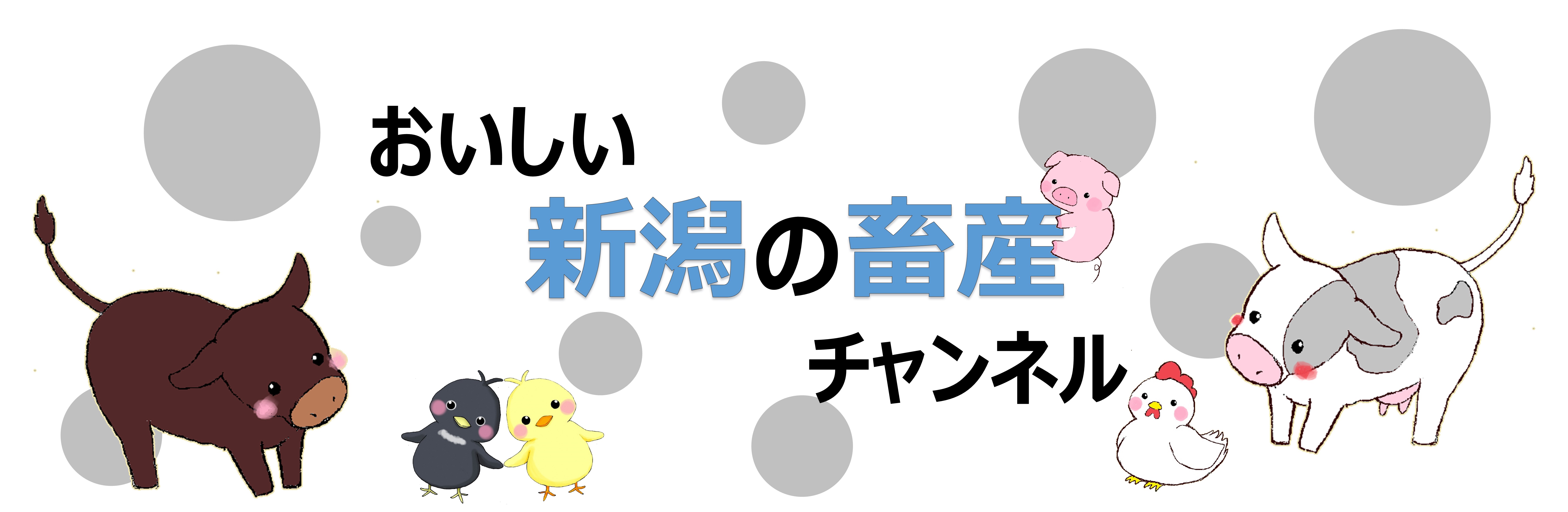おいしい新潟の畜産チャンネルのタイトル画像
